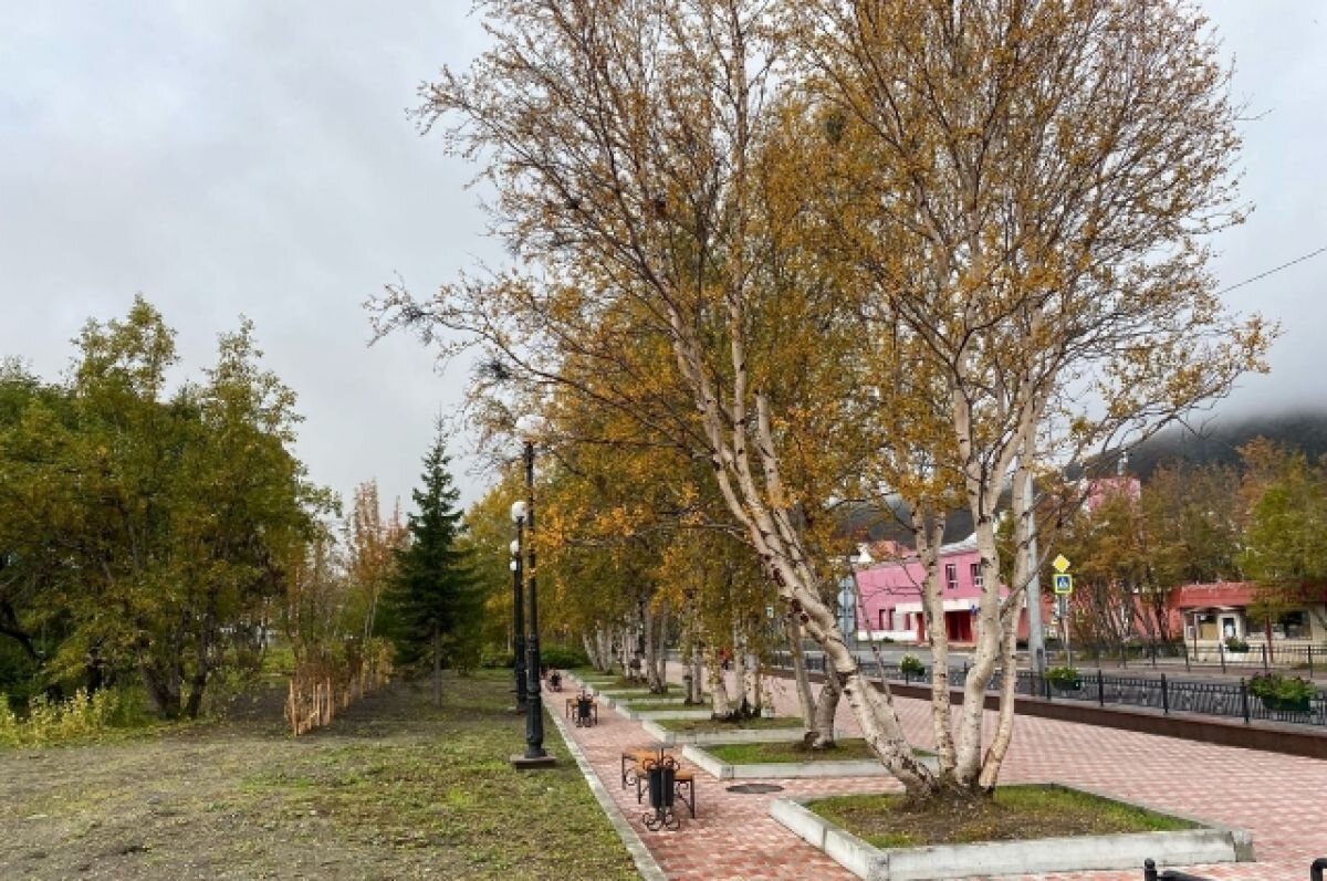    В Кировске высадят больше 5 тыс. деревьев и кустарников