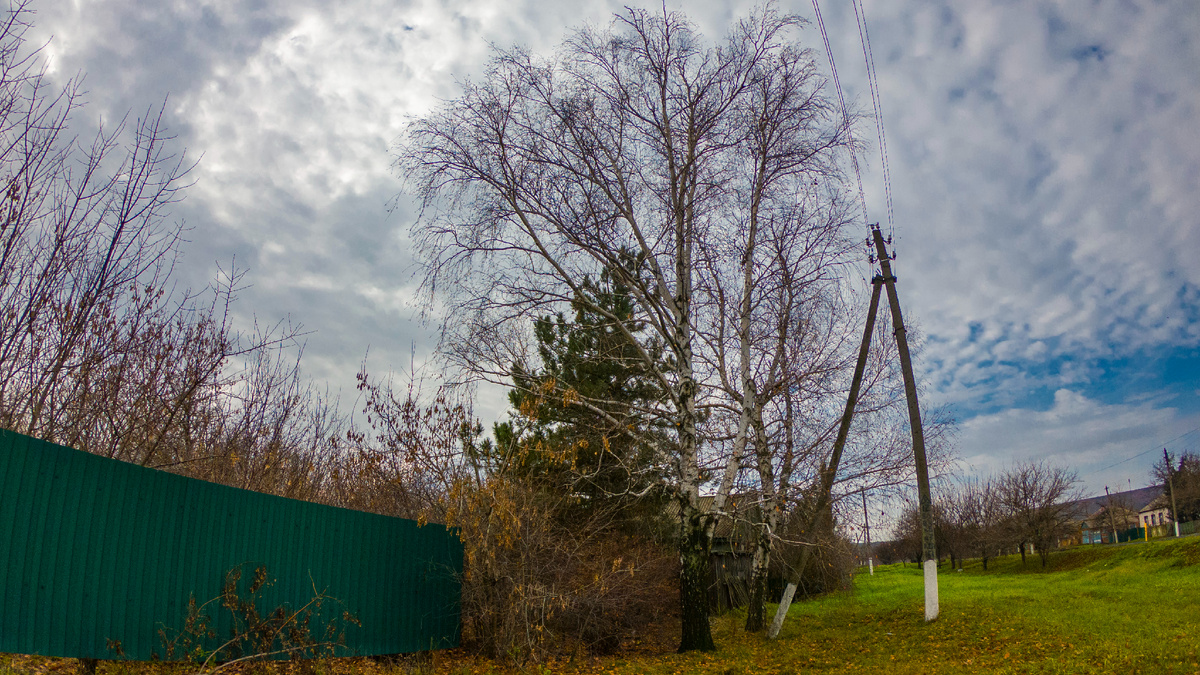 Фото автора