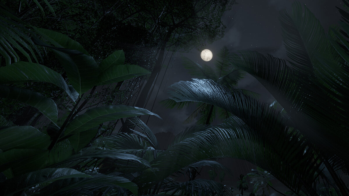 Яндекс картинки