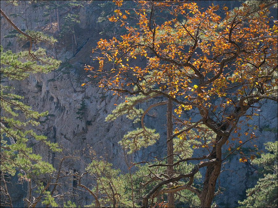 Уч-Кош | По тропинкам наших странствий | Дзен