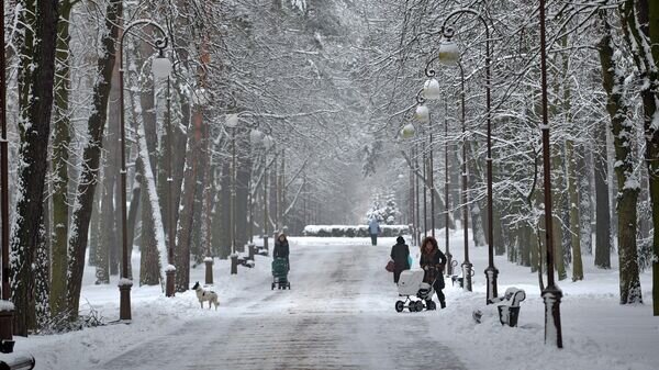   © Sputnik / Виктор Толочко