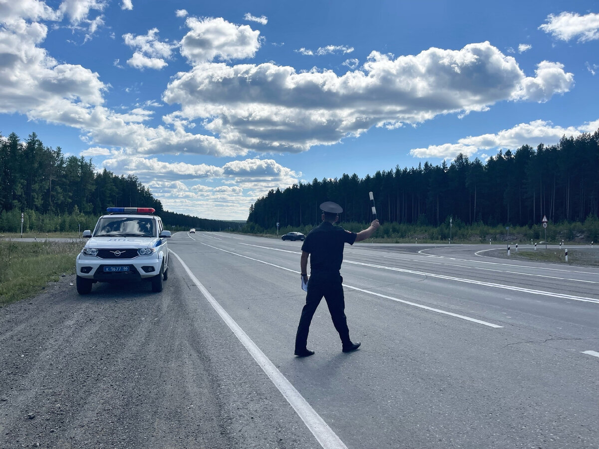 Автоюрист пояснил, почему и для чего водителям нужно знать Приказ №264 ...