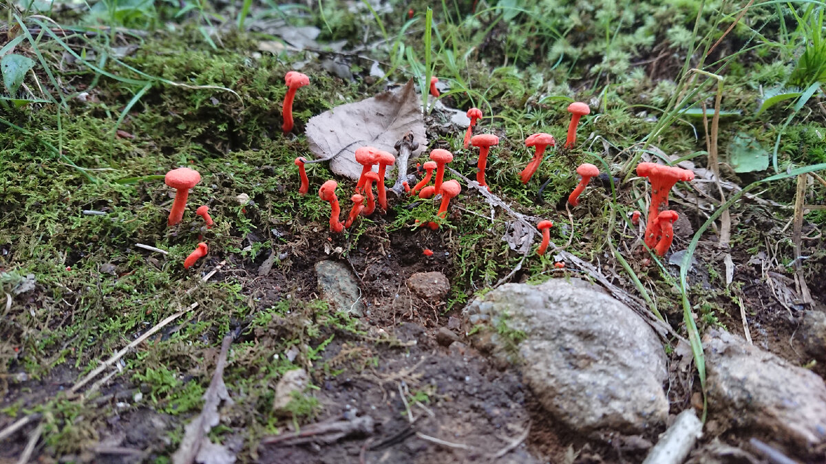 Листайте =>>>