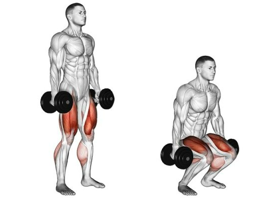 Приседания с  гантелями