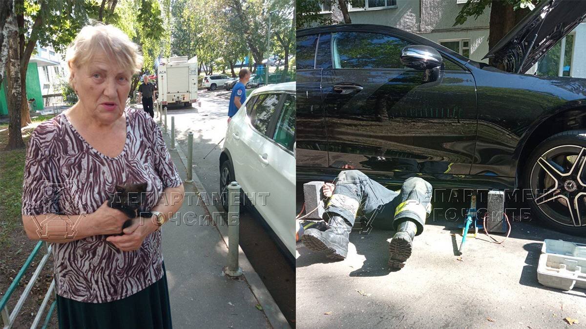    Фото: Департамент ГОЧСиПБ