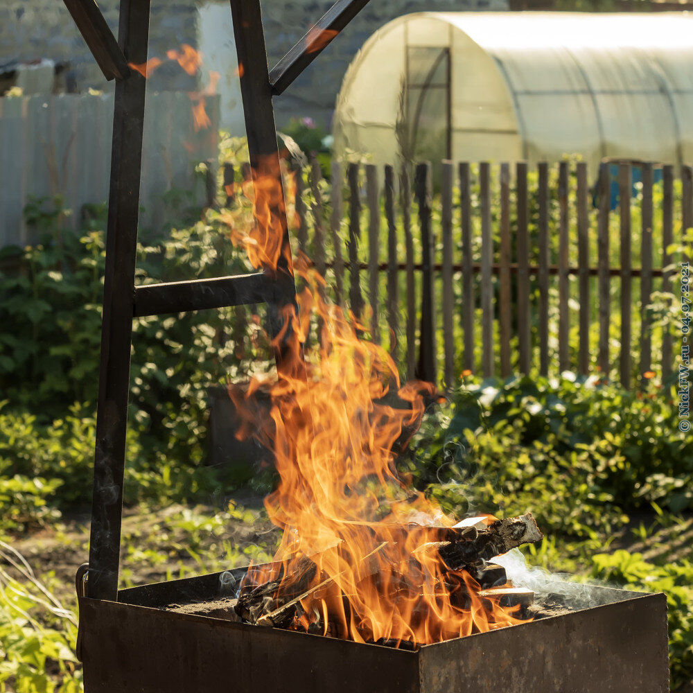 2. Огонь от берёзовых дров в мангале... © NickFW.ru — 04.07.2021г.