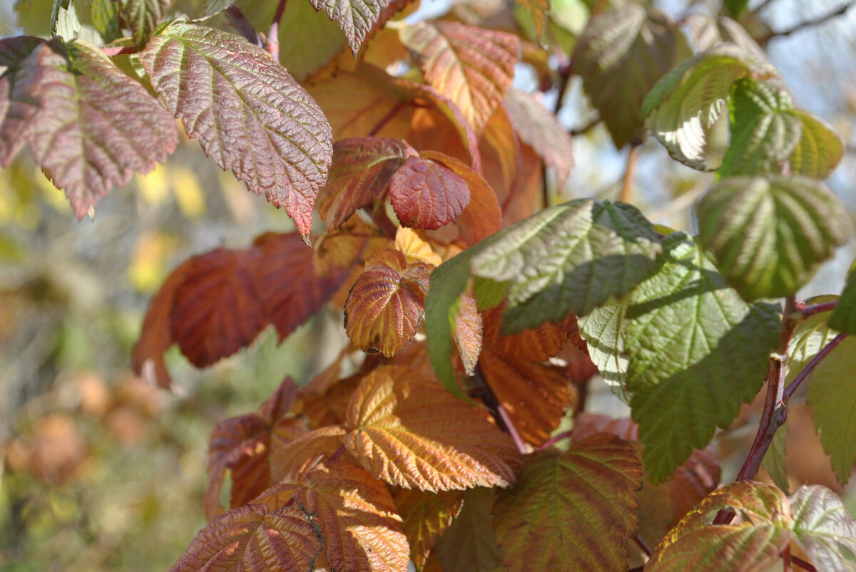  Фото: shutterstock.com