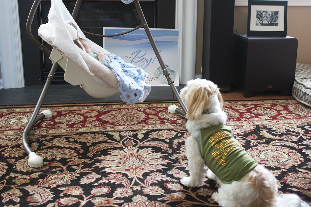 Фото: www.flickr.com