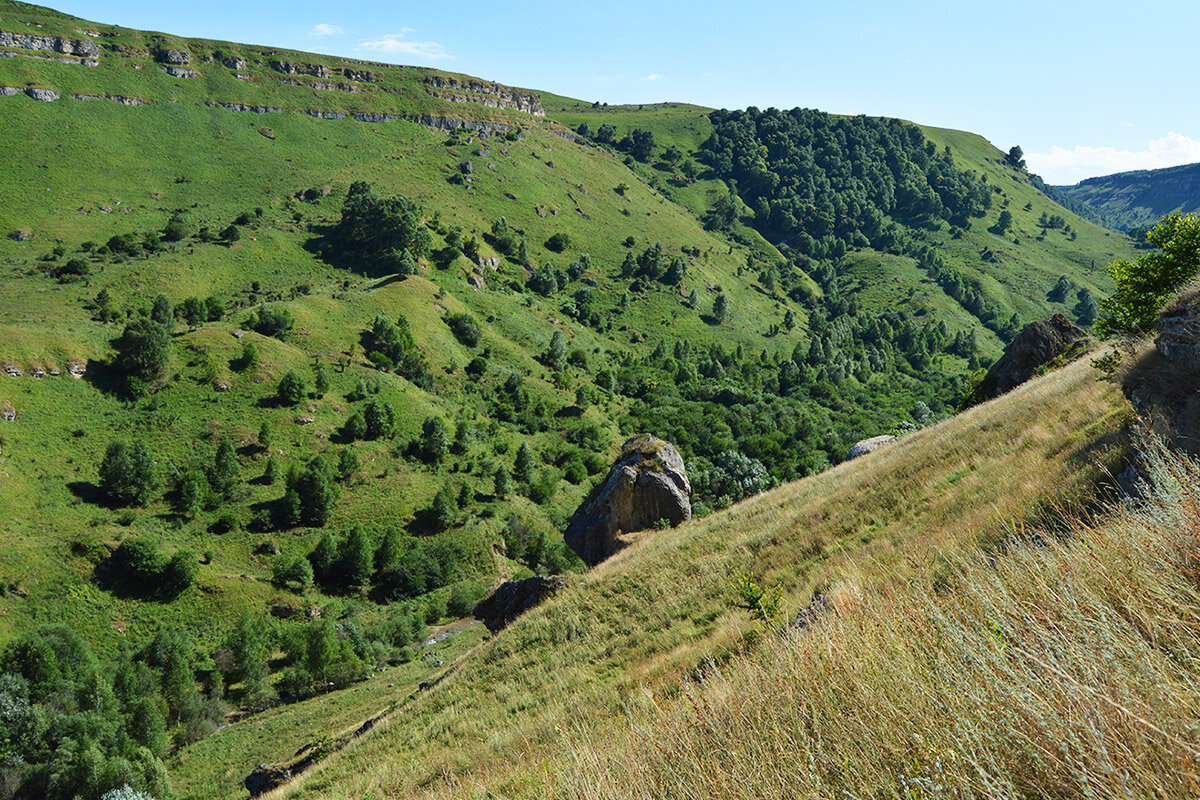 Березовское ущелье кисловодск фото