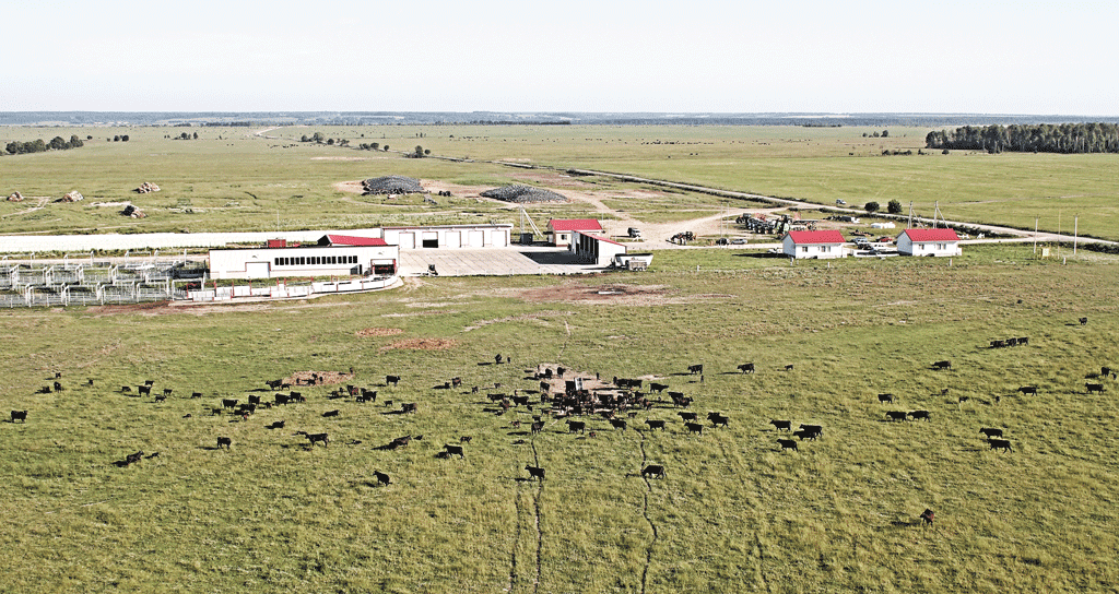  Угодья «Мираторга» в Брянской области 