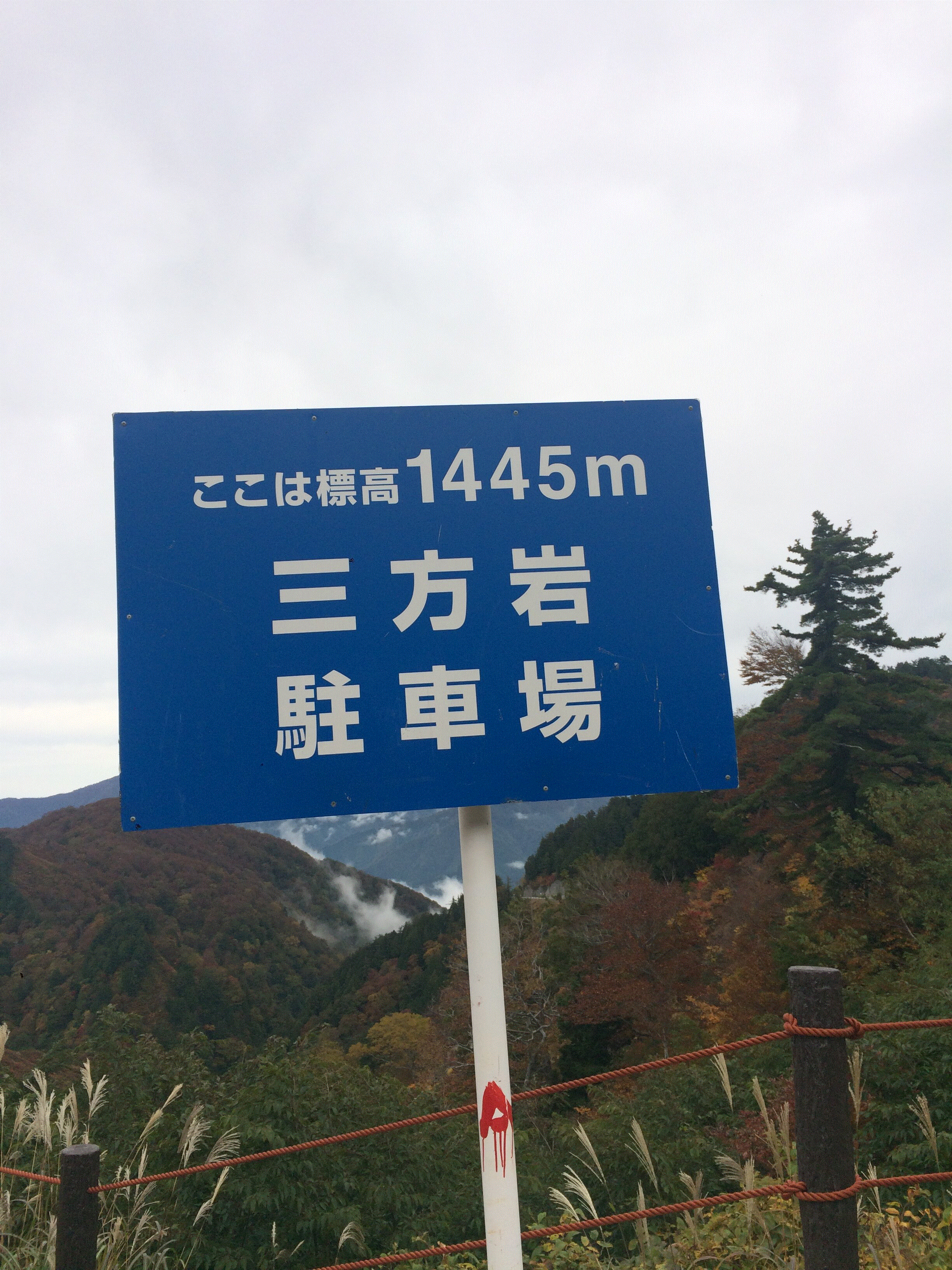 Забрались высоко.