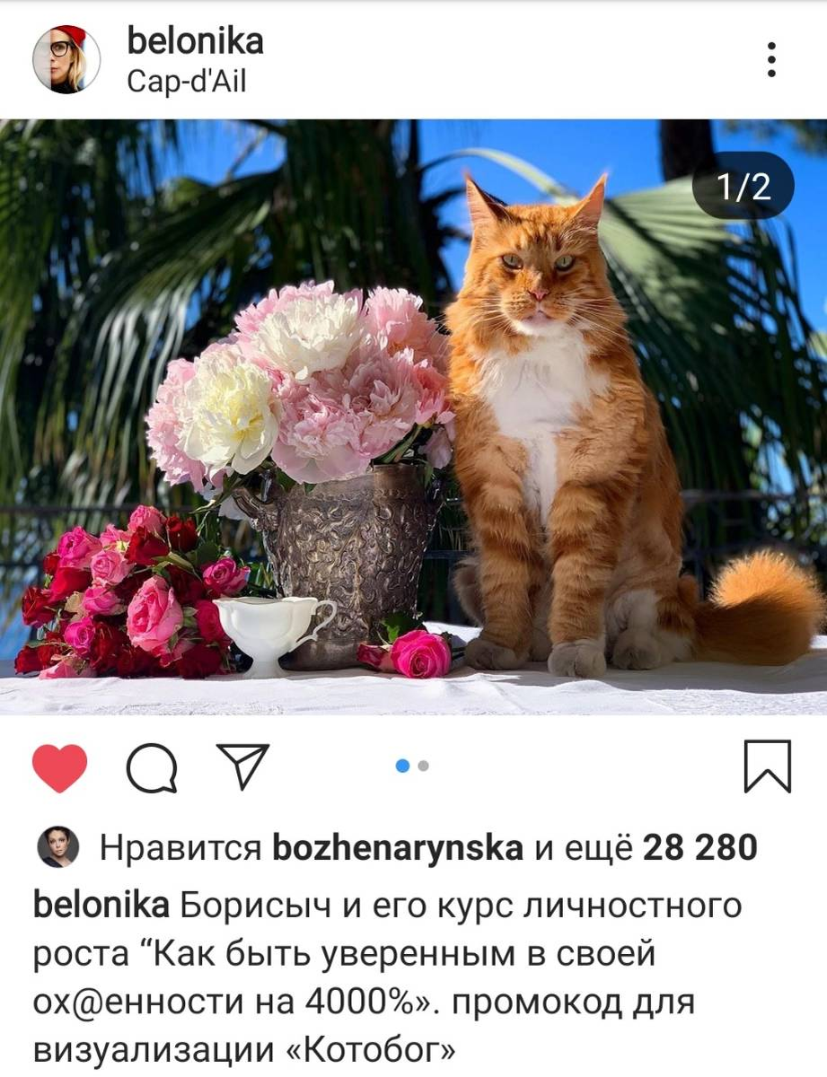 Скриншот из инстаграма https://www.instagram.com/belonika/