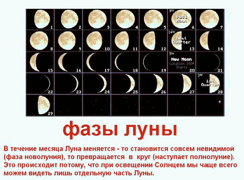 Неделя полнолуния