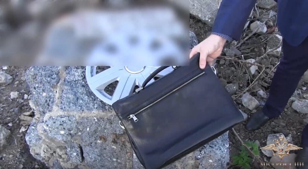 Скриншот с видео пресс-службы ГУ МВД России