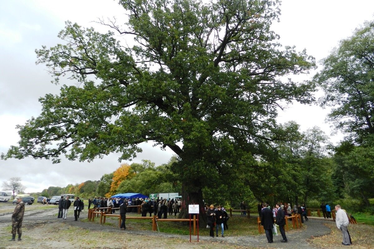 Автор фото: Елена Ракова.