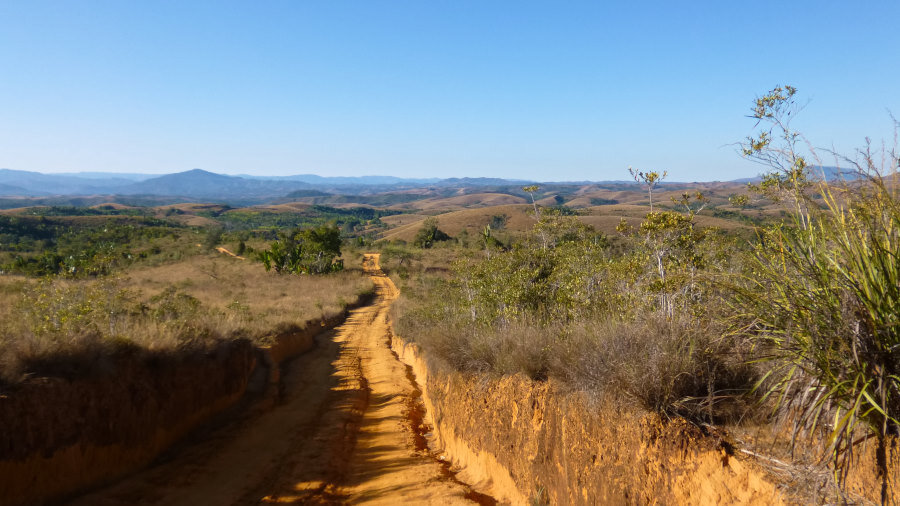 2. Тут леса нет давно!

