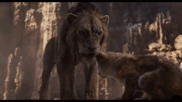 Фрагмент из трейлера мультфильма "Король Лев"  2019 года.