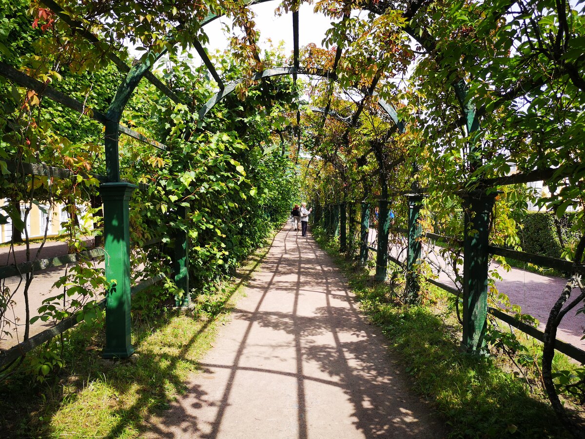 Панорама верхнего сада в Петергофе