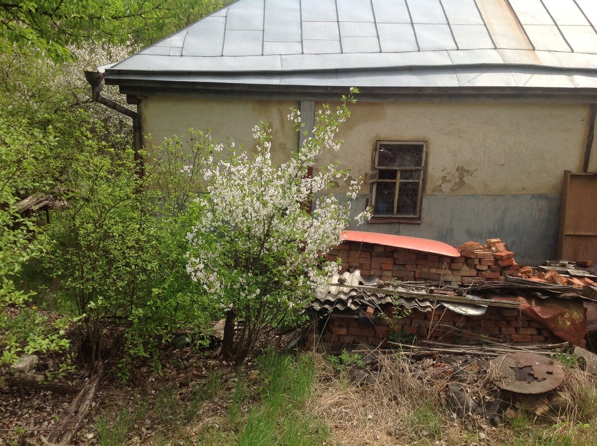 А это вид сзади,  здесь всего одно окошко.