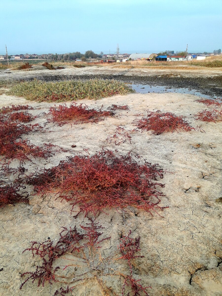 Азовское море и грязь