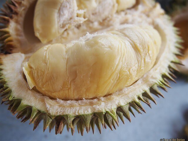 Дуриан сорта "Золотой феникс" (фото с сайта yearofthedurian.com)