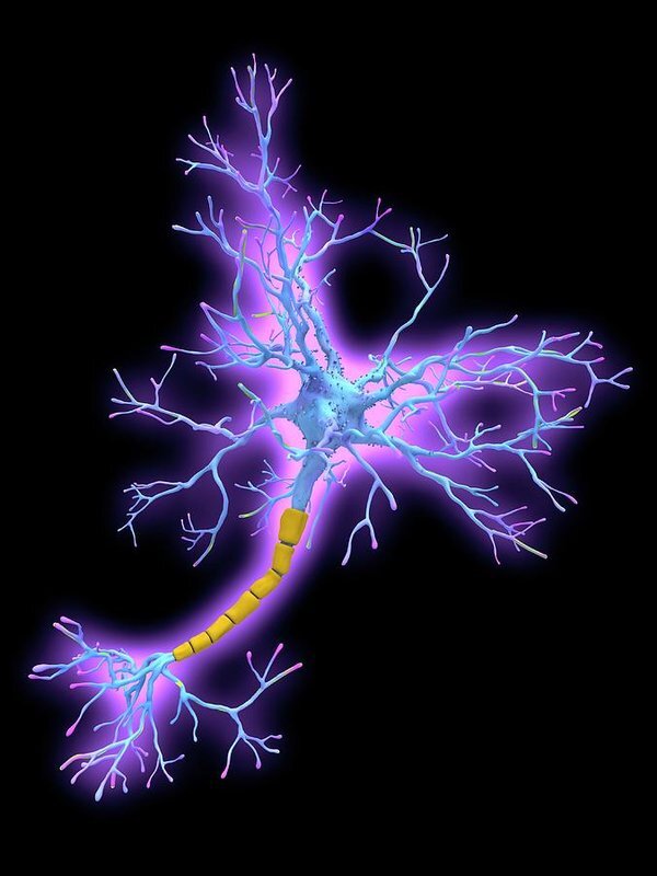 Источник: Яндекс. Картинки