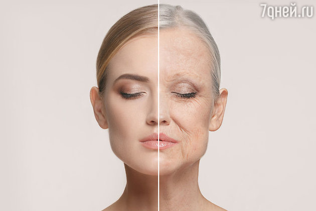 Фото: LEGION-MEDIA