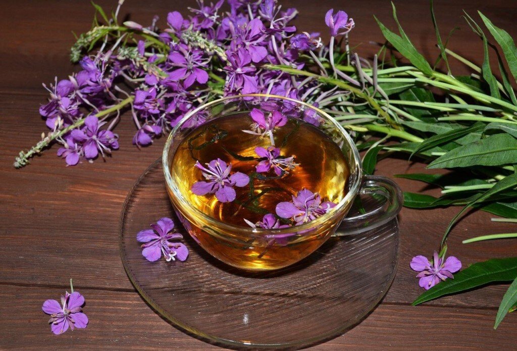 Источник фото: яндекс картинки