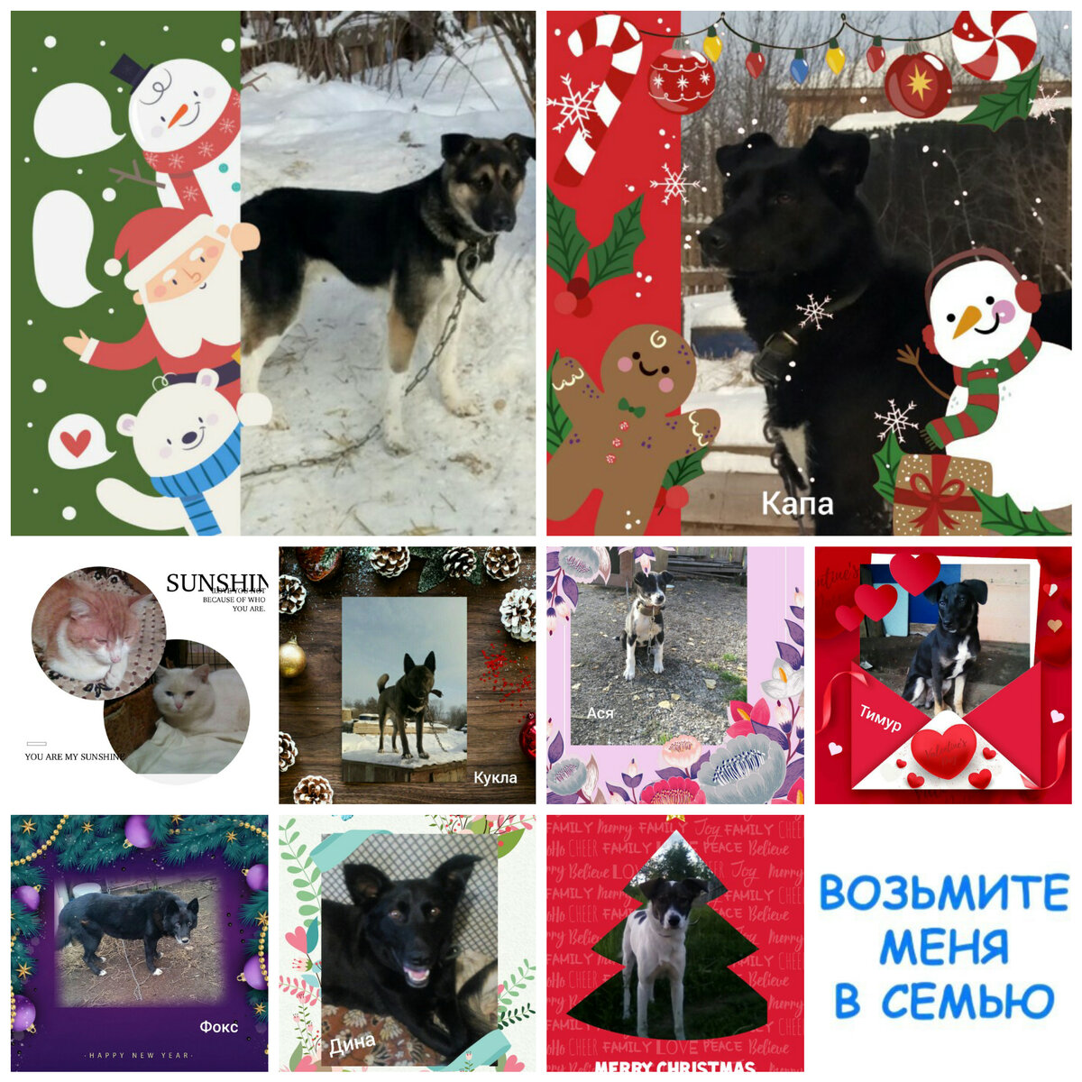 Фото сделано в приложение фотоколлаж