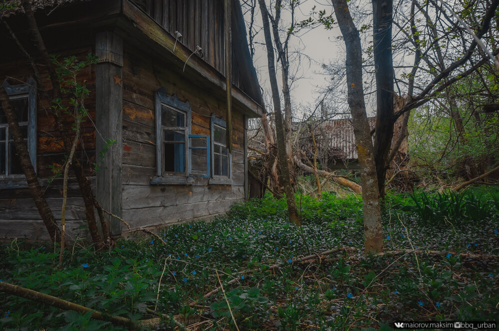 Самое уютное село Чернобыльской зоны отчуждения. Остался тут на 2 дня, рассказываю что происходит вокруг