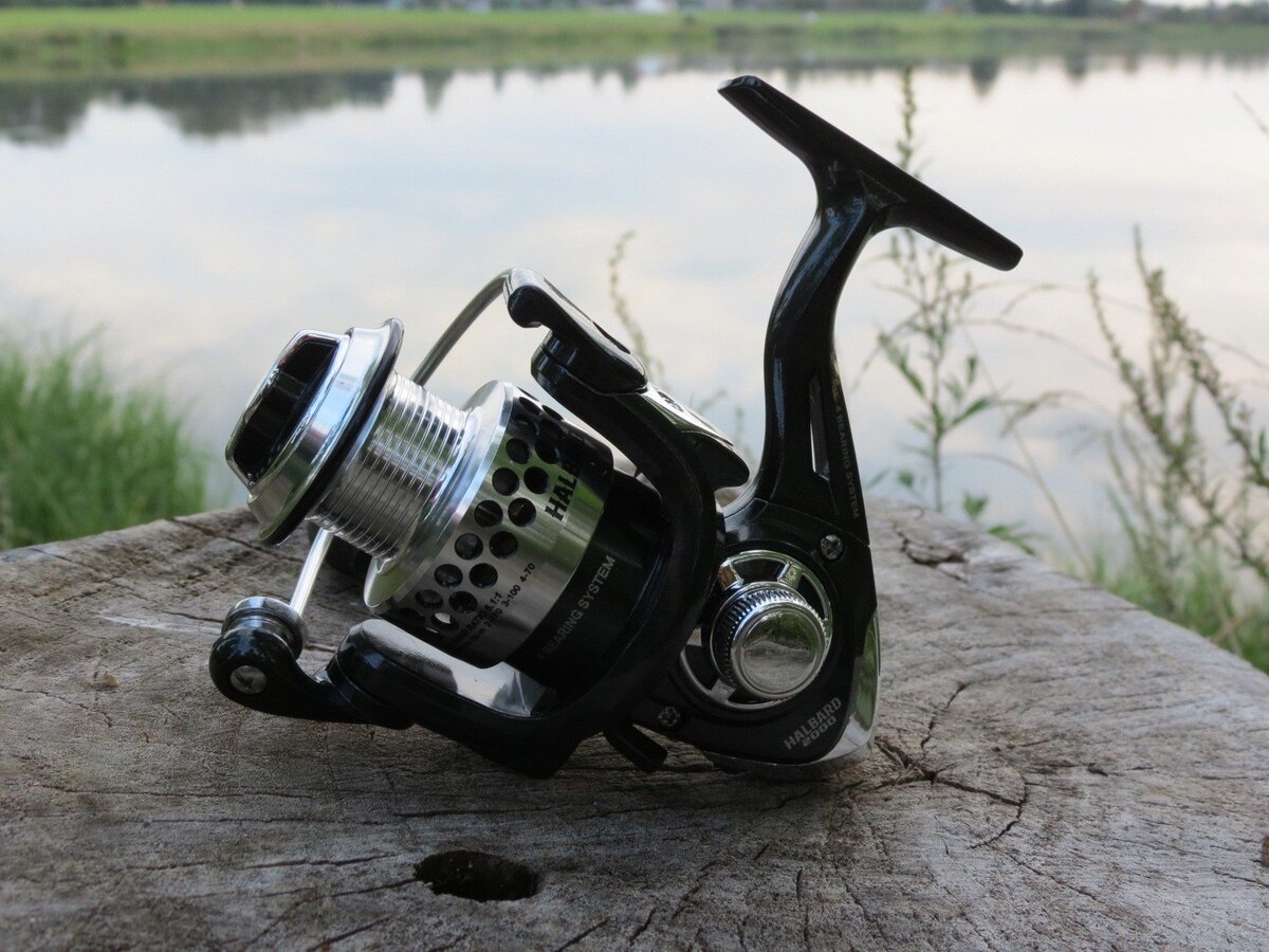 Изображение из открытых источников.