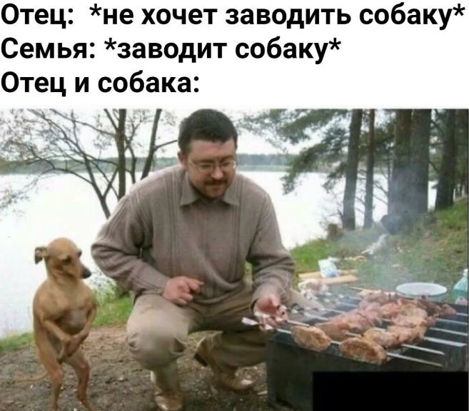 Это она, жиза. https://clck.ru/M8QZ5