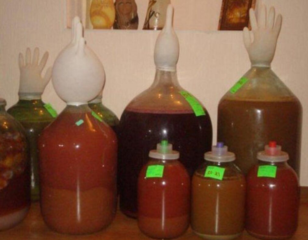 Фото взято из яндекс картинки