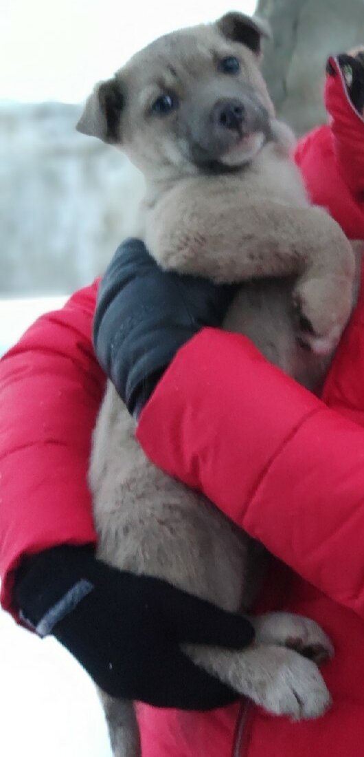 Дунай, первый день встречи.