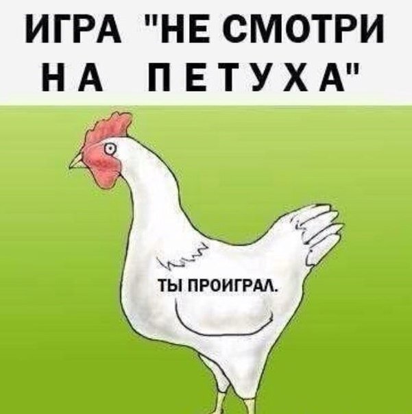 Курам на смех картинка