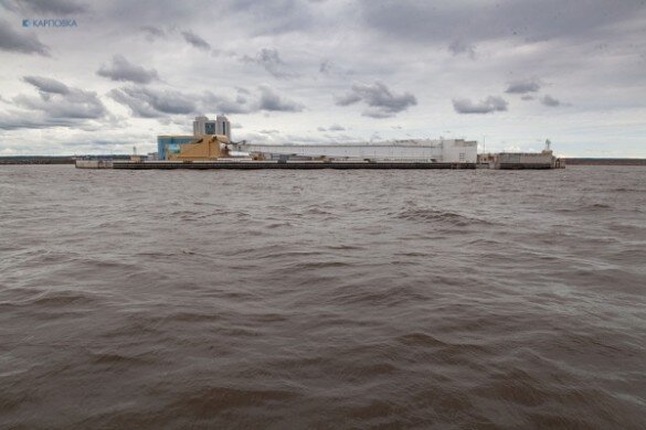 Фото: Карповка | Игорь Логвин