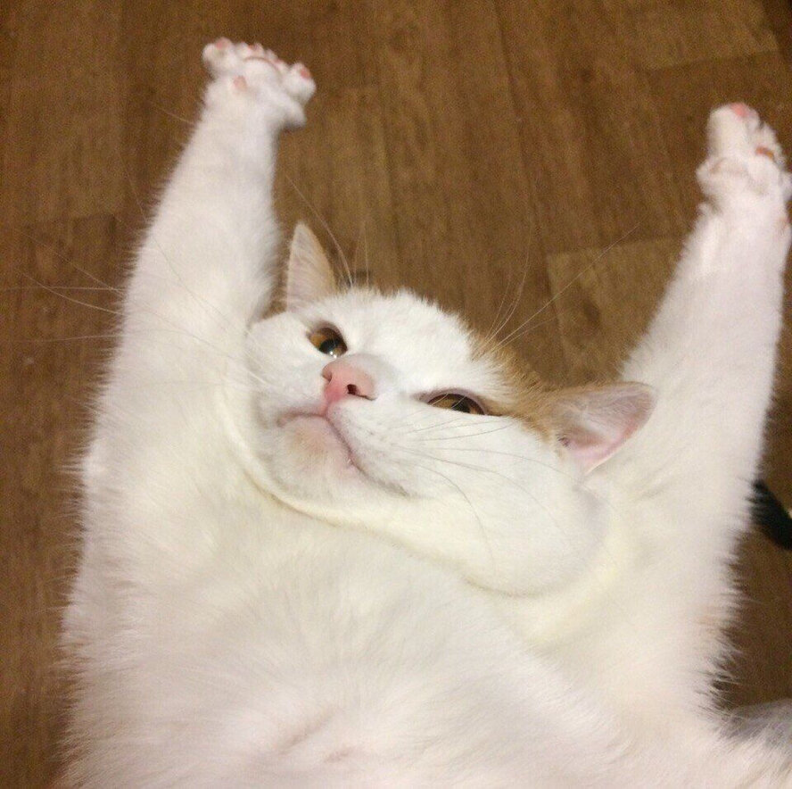 Сладкие потягушки ✨💕