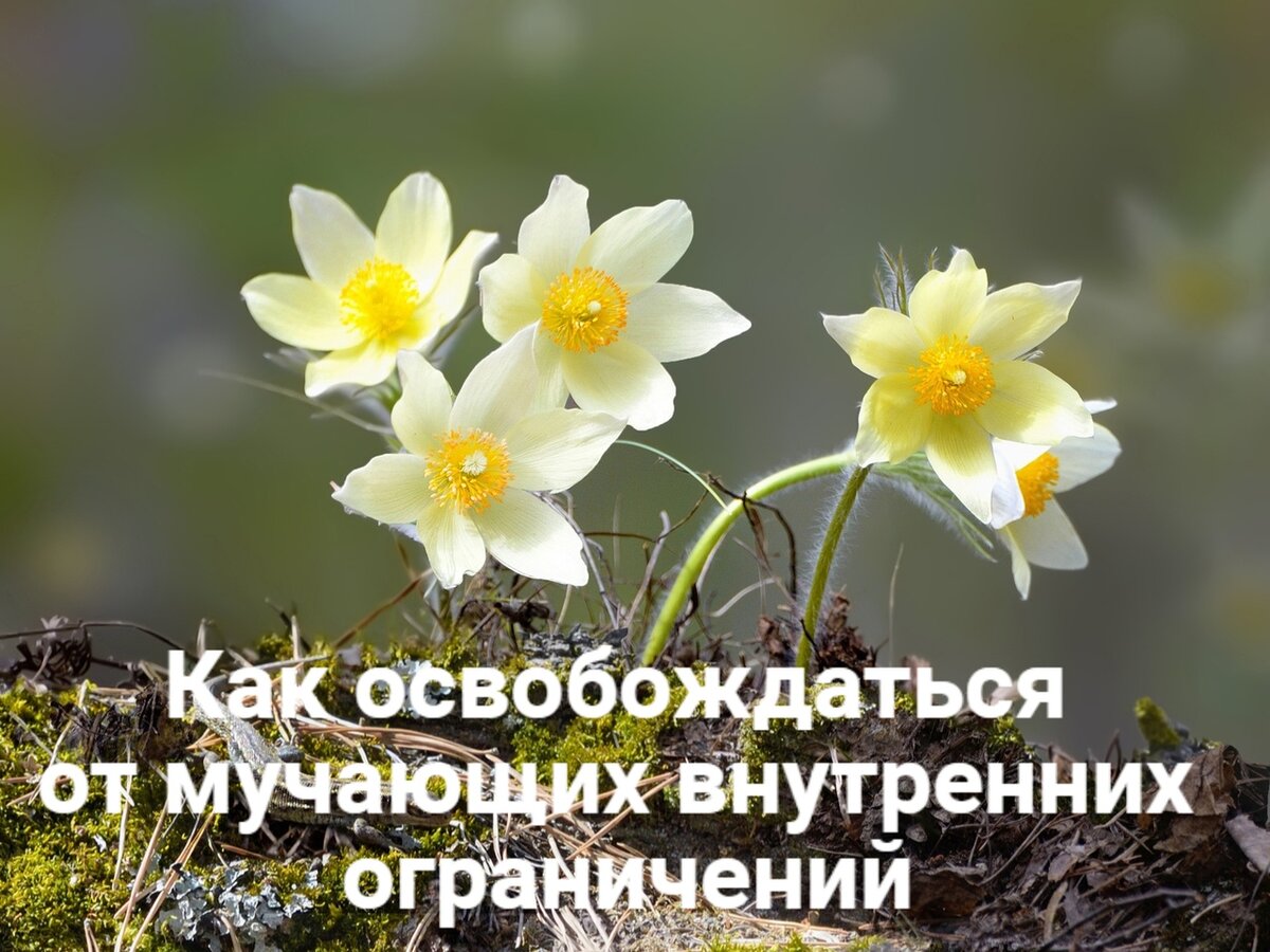 Одно из пониманий, что откроется по ходу Курса