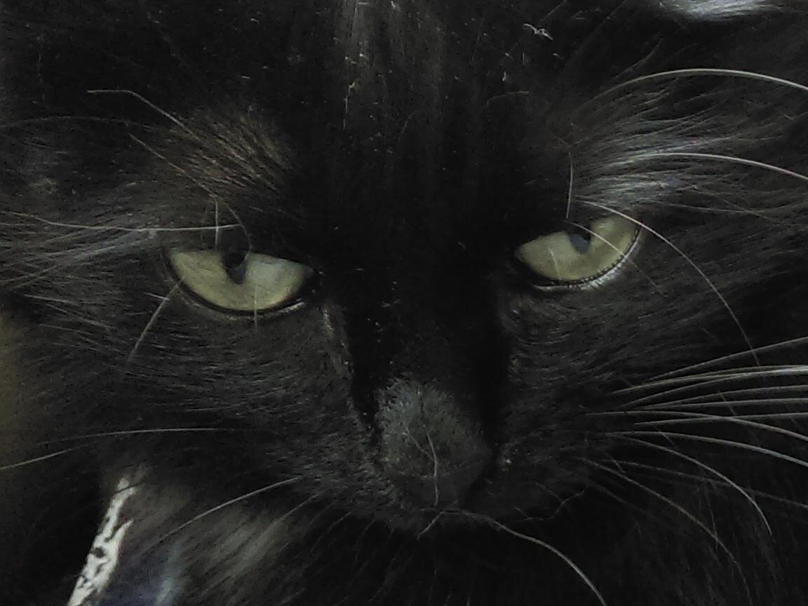 - Мне грустно, я в печали...