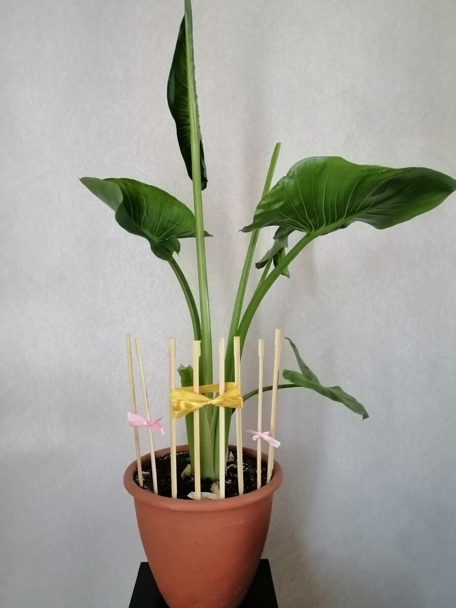 Высоту и частоту заборчика регулируем на свой вкус