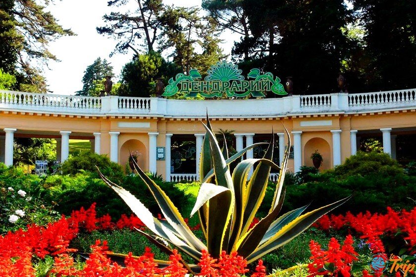 Ботанический парк Дендрарий - Сочи