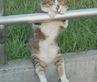 Изображение взято с портала yandex.ru/images.