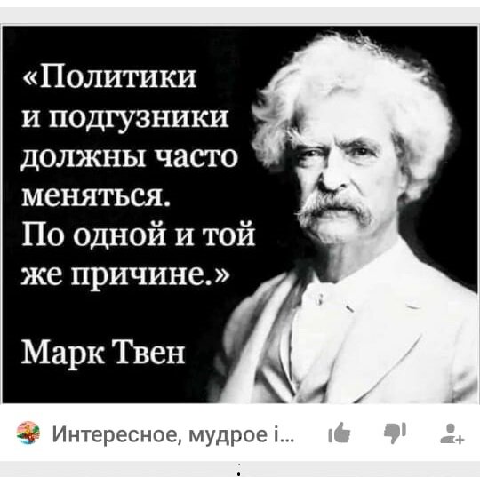 Из открытых источников интернета