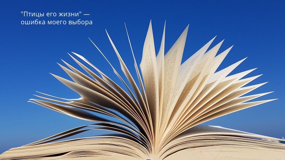 Картинка с сайта: pixabay.com