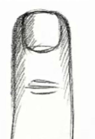 Квадратные кончики пальцев.