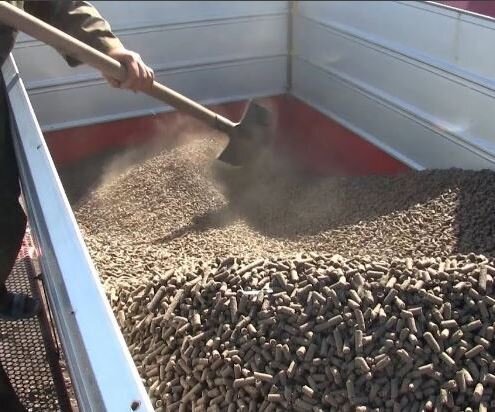 Фото из открытых источников Интернета