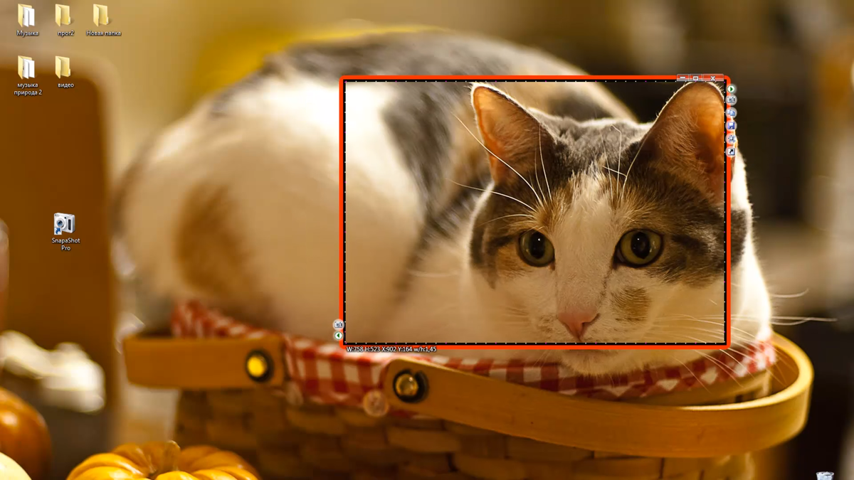 Программа для скиншотов с рабочего стола