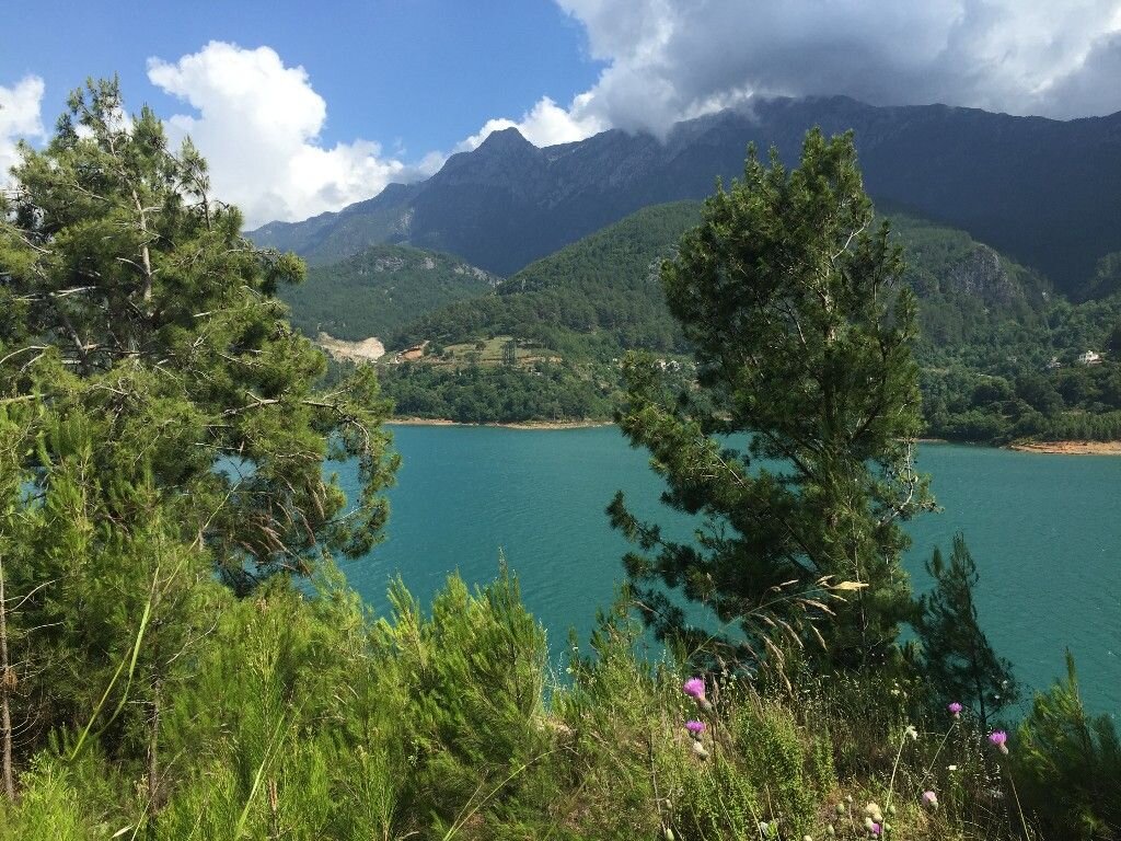 Аланья дим чай фото