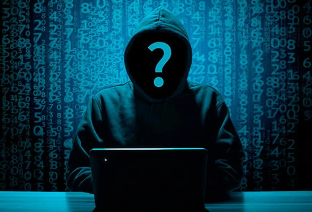 взято с открытых источников