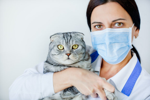 Что нужно знать о домашних животных и COVID-19. По мнению экспертов, все сложно.